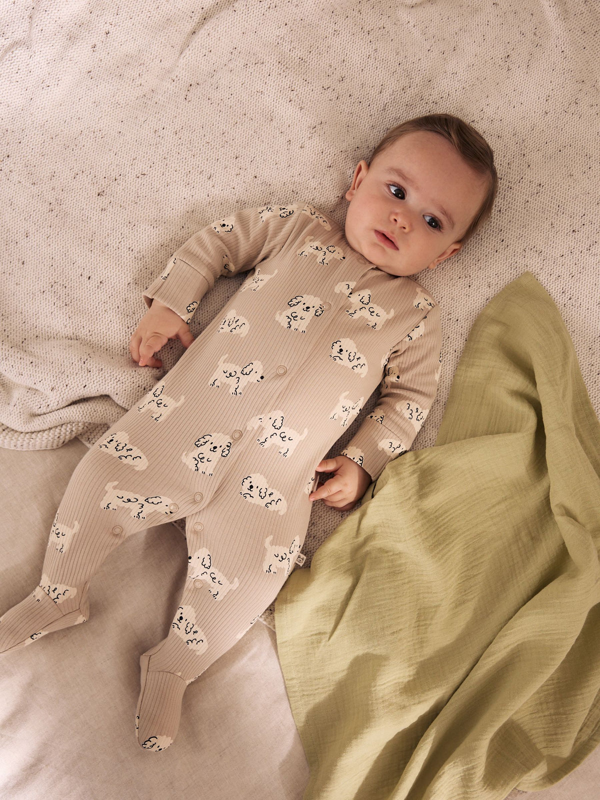 Grey Dog Baby Sleepsuits 4 Pack (0mths-2yrs)