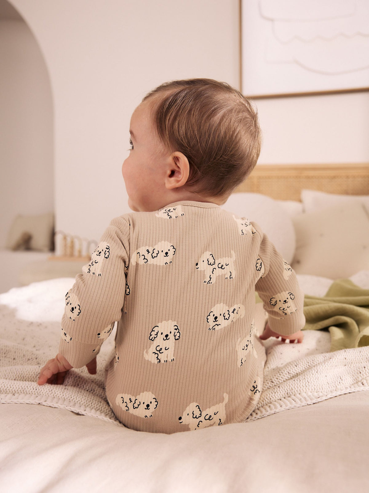 Grey Dog Baby Sleepsuits 4 Pack (0mths-2yrs)