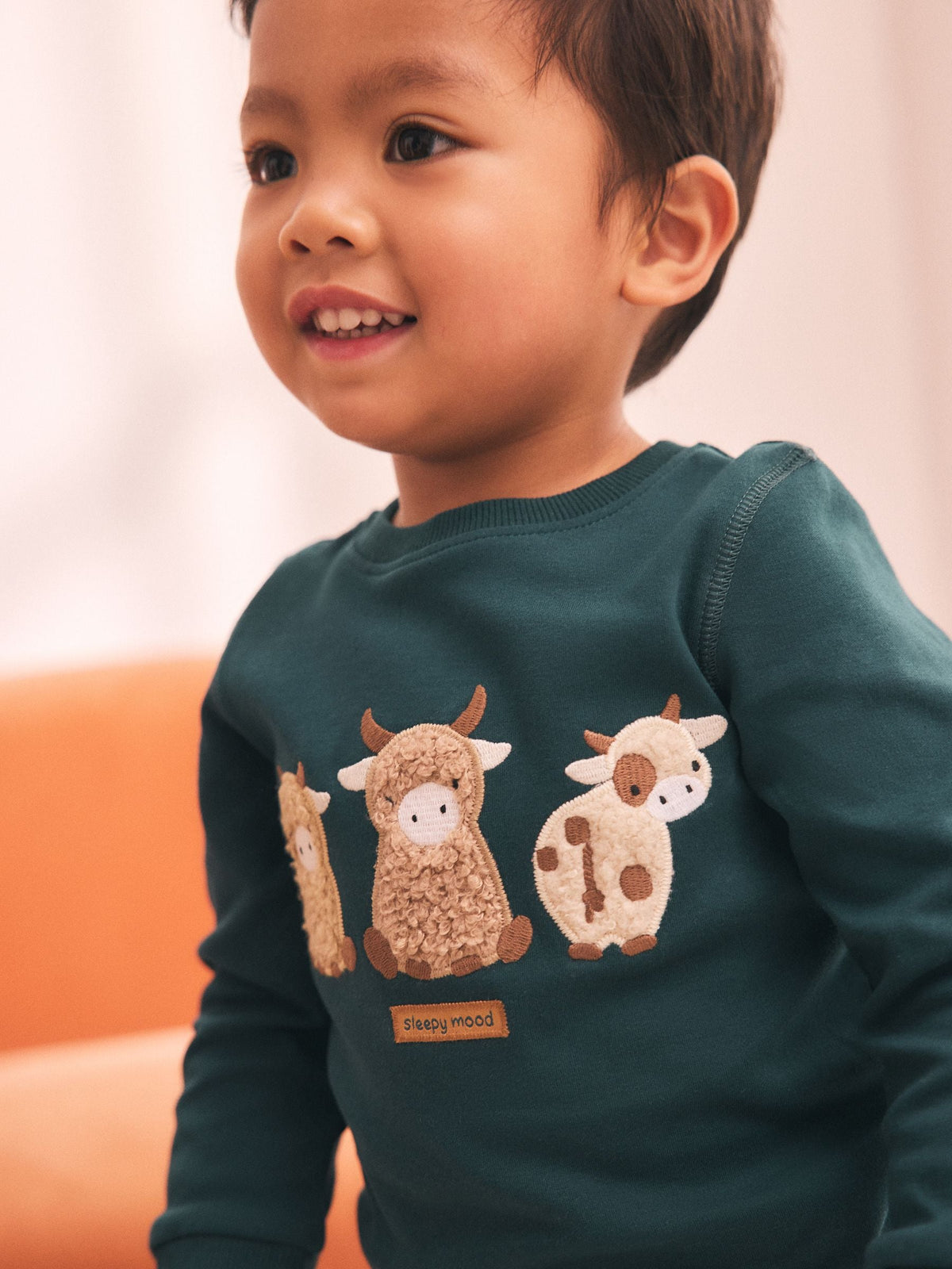 Brown Hamish Snuggle Pyjamas 3 Pack (9mths-10yrs)