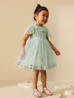 Green Embroidered Mesh Dress (3mths-7yrs)