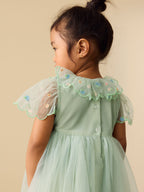 Green Embroidered Mesh Dress (3mths-7yrs)