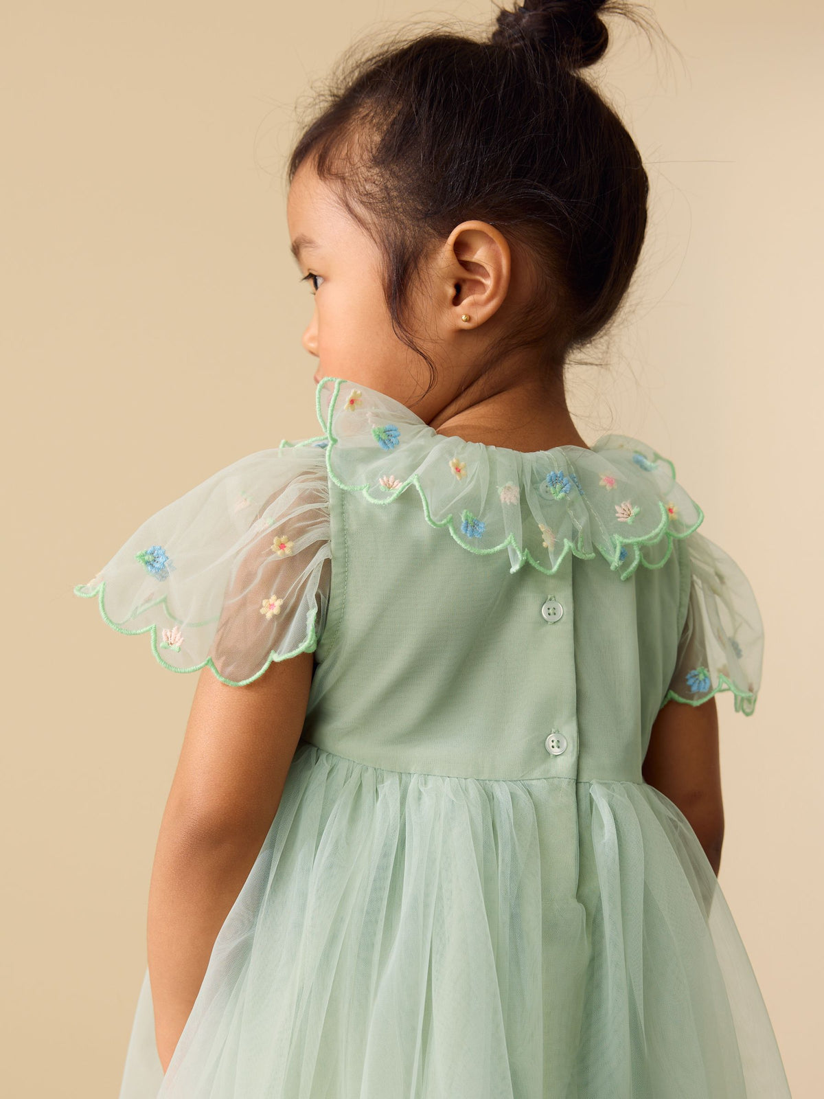 Green Embroidered Mesh Dress (3mths-7yrs)