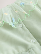 Green Embroidered Mesh Dress (3mths-7yrs)