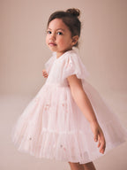 Pastel Pink Embroidered Mesh Occasion Dress (3mths-8yrs)
