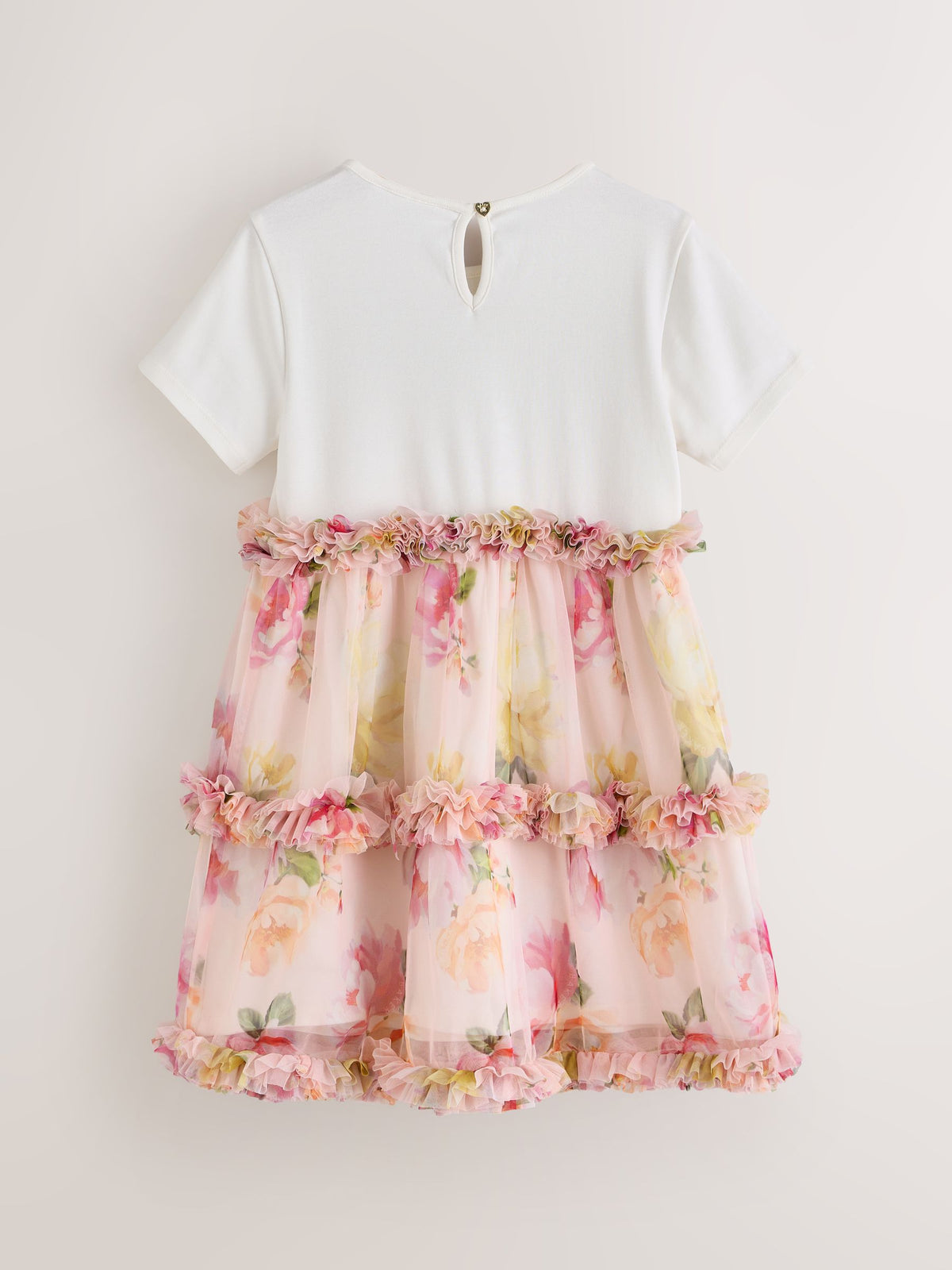 Baker by Ted Baker Floral Ruffle Mesh Mockable Blue Dress