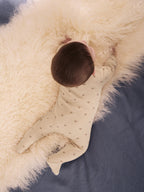 Neutral Brown Bear Two Way Zip Baby Sleepsuits 4 Pack (0mths-2yrs)