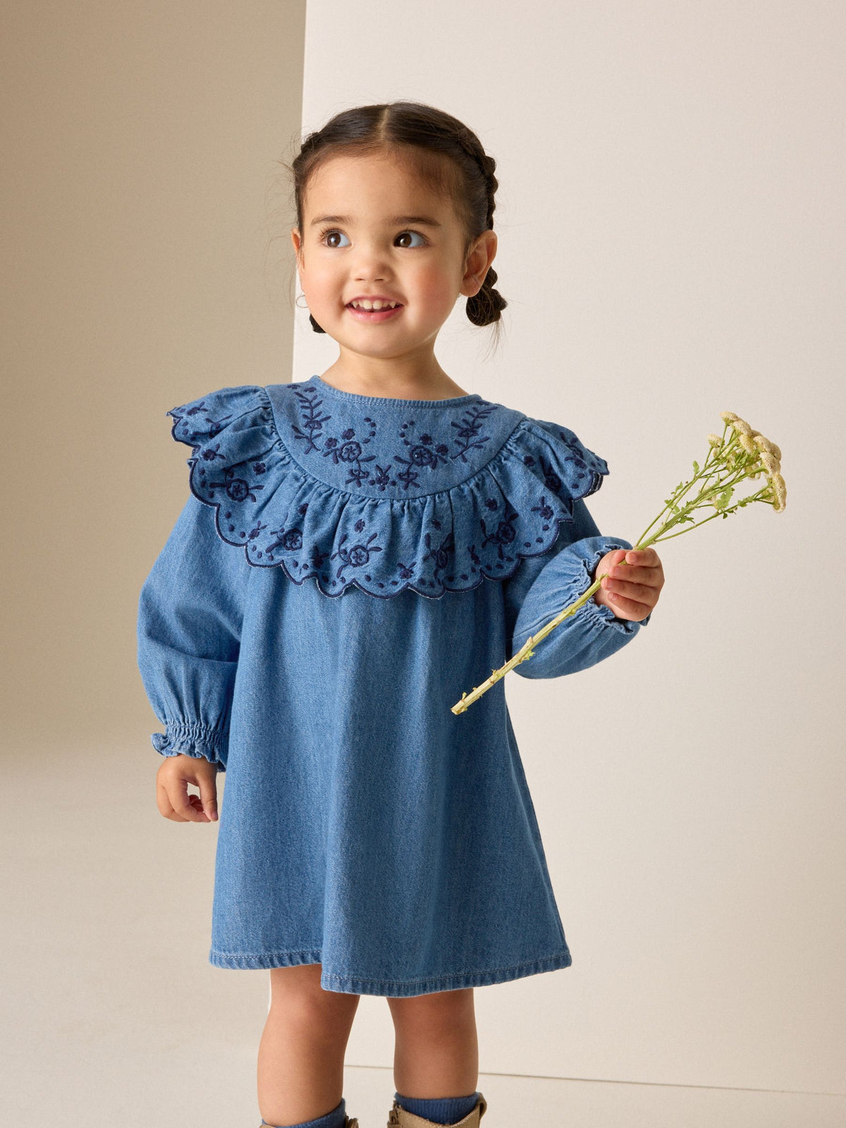 Denim Blue Long Sleeve Embroidered Denim Dress (3mths-10yrs)