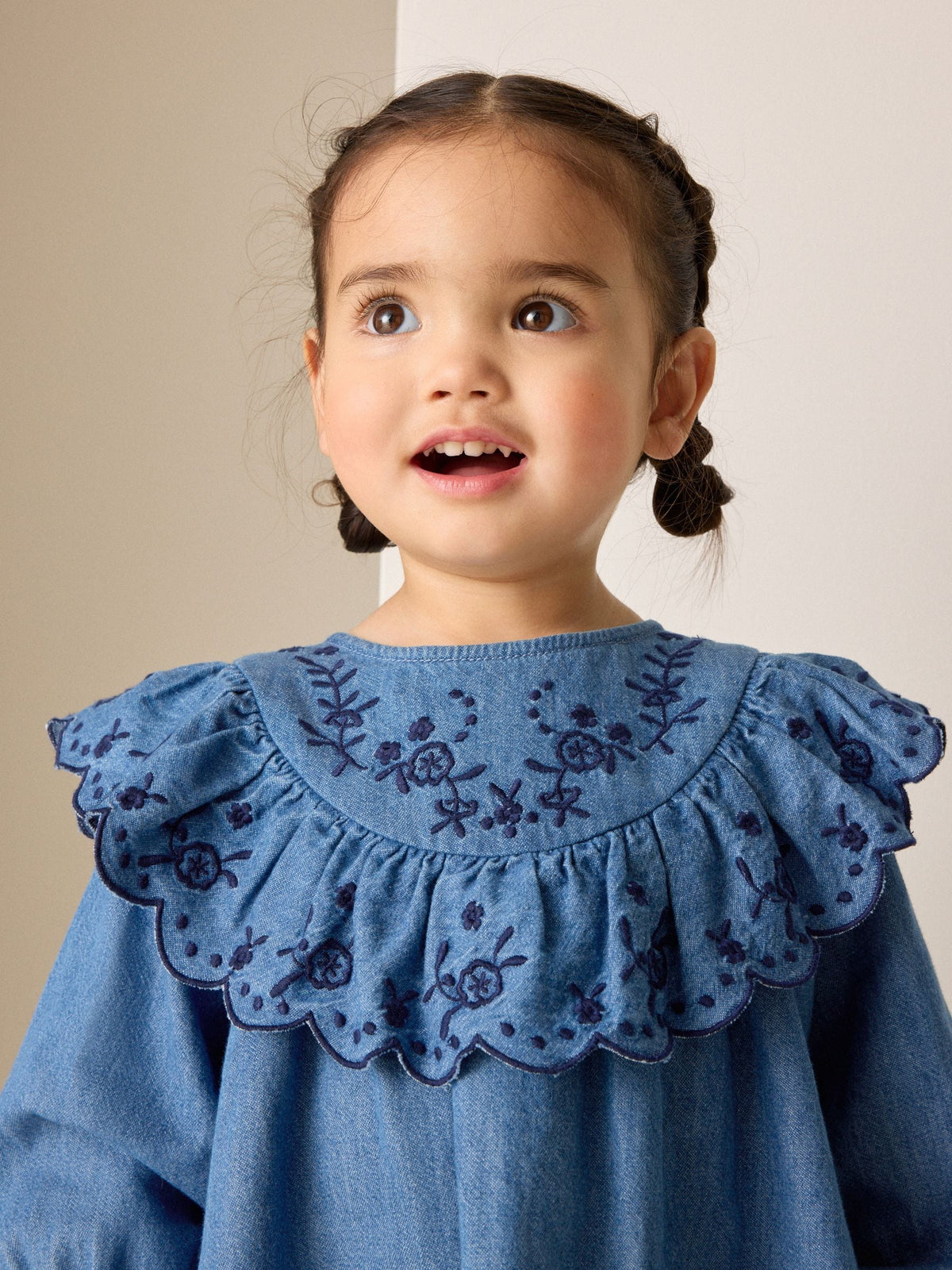 Denim Blue Long Sleeve Embroidered Denim Dress (3mths-10yrs)