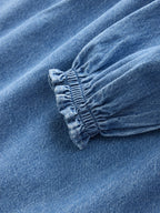 Denim Blue Long Sleeve Embroidered Denim Dress (3mths-10yrs)